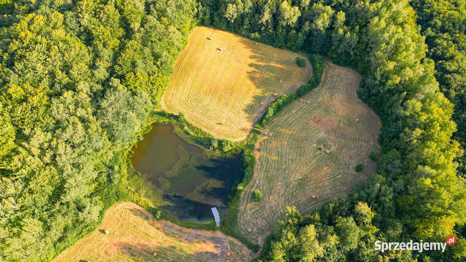 Urocze Działki budowlane Elbląga 97zł/m2 warmińsko-mazurskie Rogowo