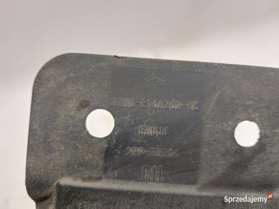 Ford Ranger VI 6 2024r CHLAPACZ PRAWY PRZÓD