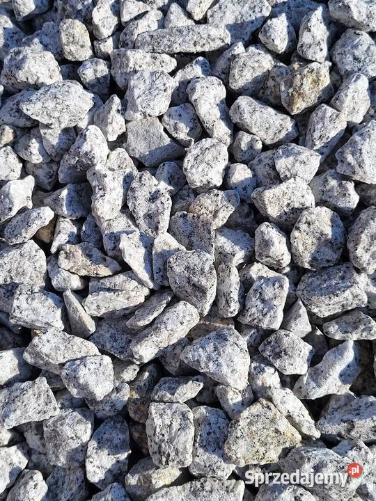 Grys granit Dalmatyńczyk 816 1622 Kamień Garwolin sprzedam