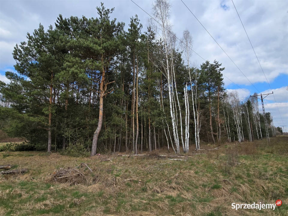 Grunt Sieradz 1817m2 utwardzona sprzedam