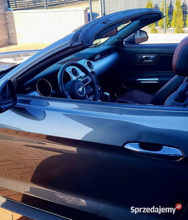 Mustang Convertible GT Bolesławiec