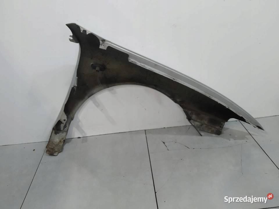 BŁOTNIK LEWY PRZÓD LEON I SREBRNY Seat Toledo II osobowe