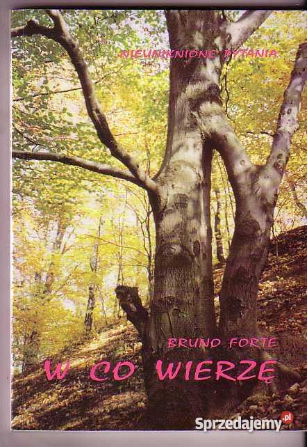 3240 W CO WIERZĘ KRÓTKIE WPROWADZENIE W WIARĘ BR Czyrna