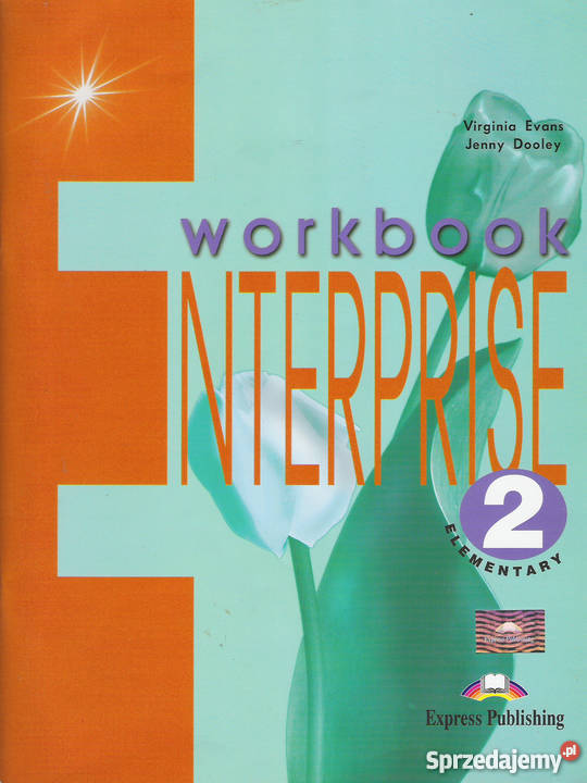 work bok Enterprise 2 Książki i Podręczniki Puławy