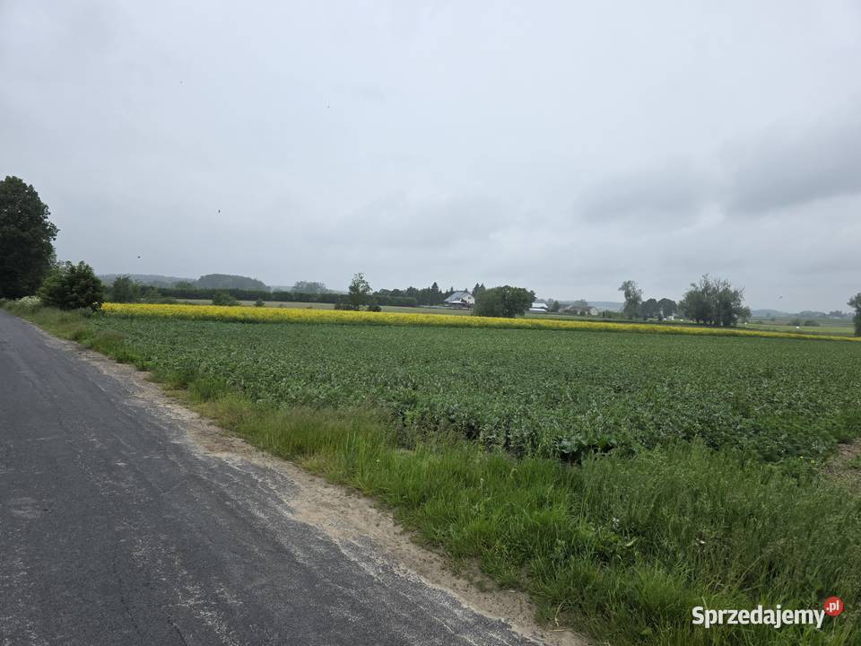Działka rolna 8313m2 III klasa ziemi Sprzedaż Regimin