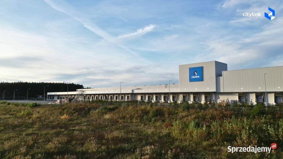 Magazyn POZNAŃ 1 mc bezpośrednio bezterminowo Hale i magazyny