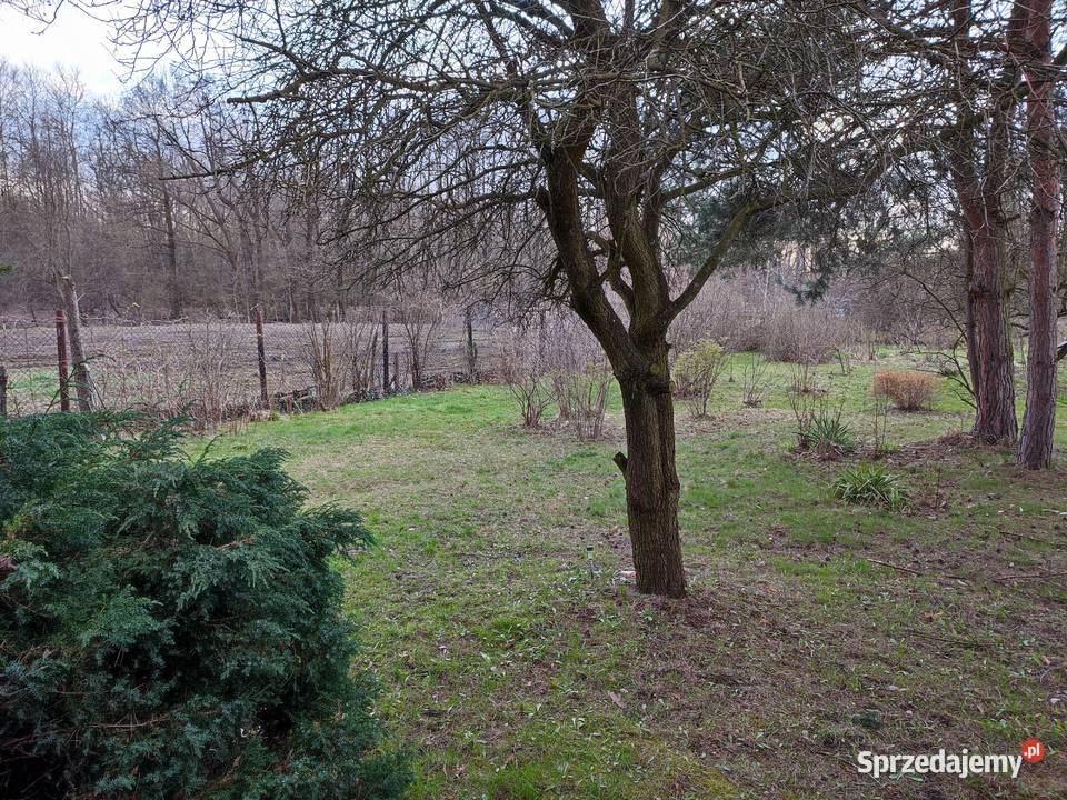 Ogródek działkowy Mikołów Skośna sprzedam