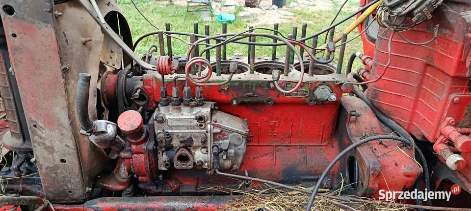 MTZ 50 mazowieckie Ostrołęka