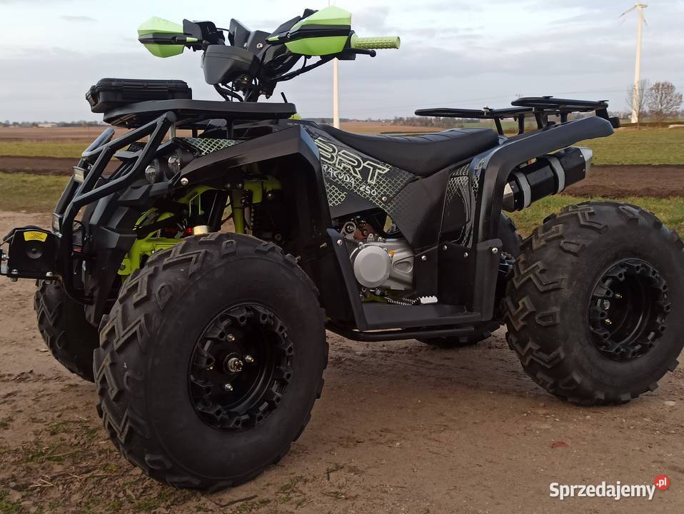 Quad 250 BARACUDA automat 1Rkoła 10 stan nowy Rok produkcji 2023 Piotrków Kujawski