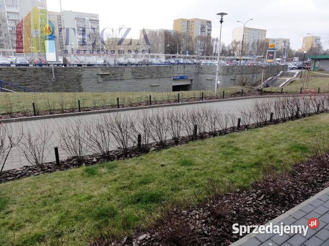 Wynajmę mieszkanie Warszawa Beli Bartoka 45m2 2 sprzedam