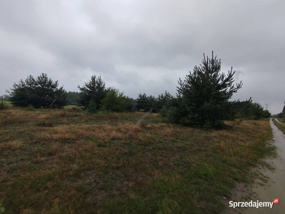 Działka budowlana RosochaKolonia Rosocha-Kolonia
