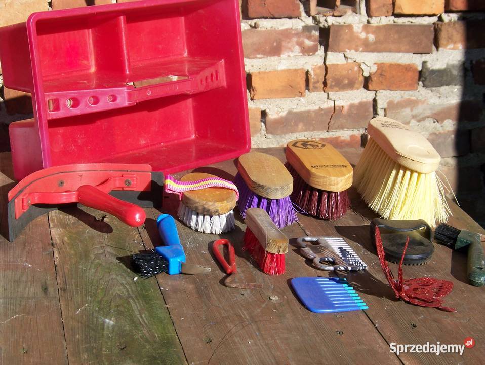 szczotki konia Dargikowo