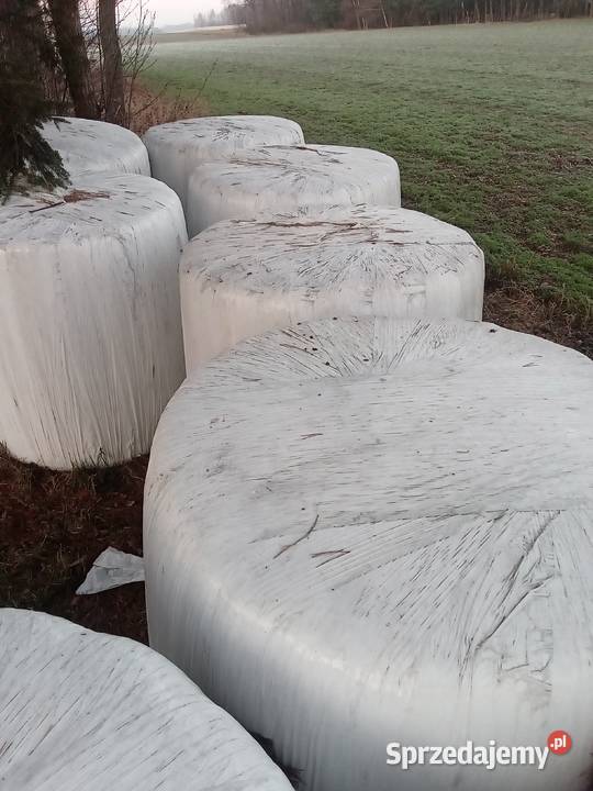 Sianokiszonka Szadek