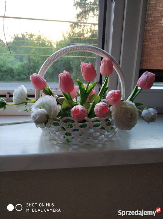 Tulipany żywe podkarpackie Straszęcin