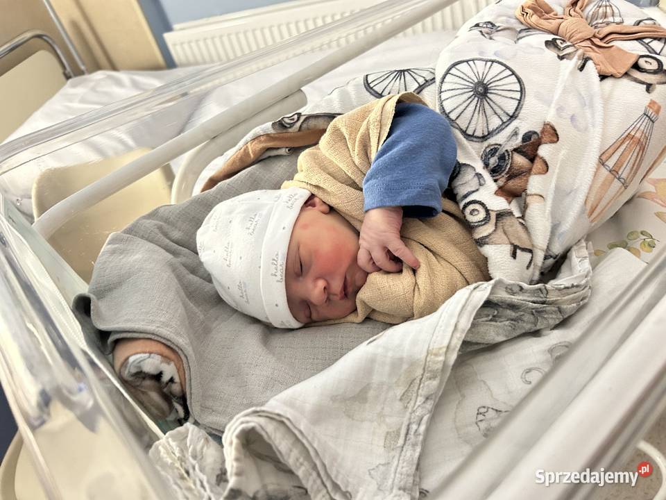 Camaro 36V automat Zator