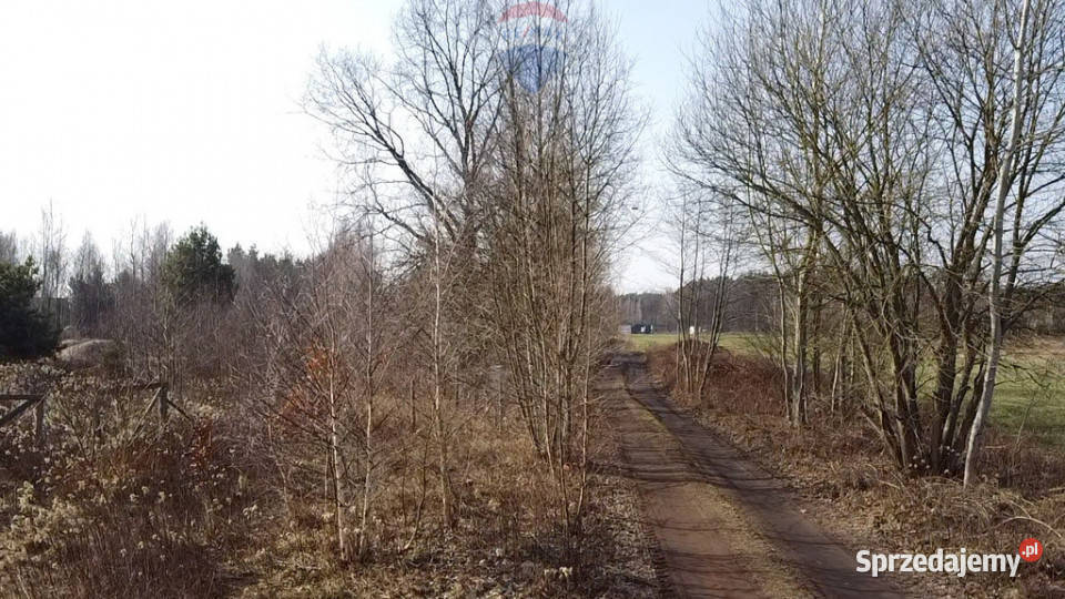 Działka budowlana z WZ 3550m2 mazowieckie Wólka Kokosia sprzedam