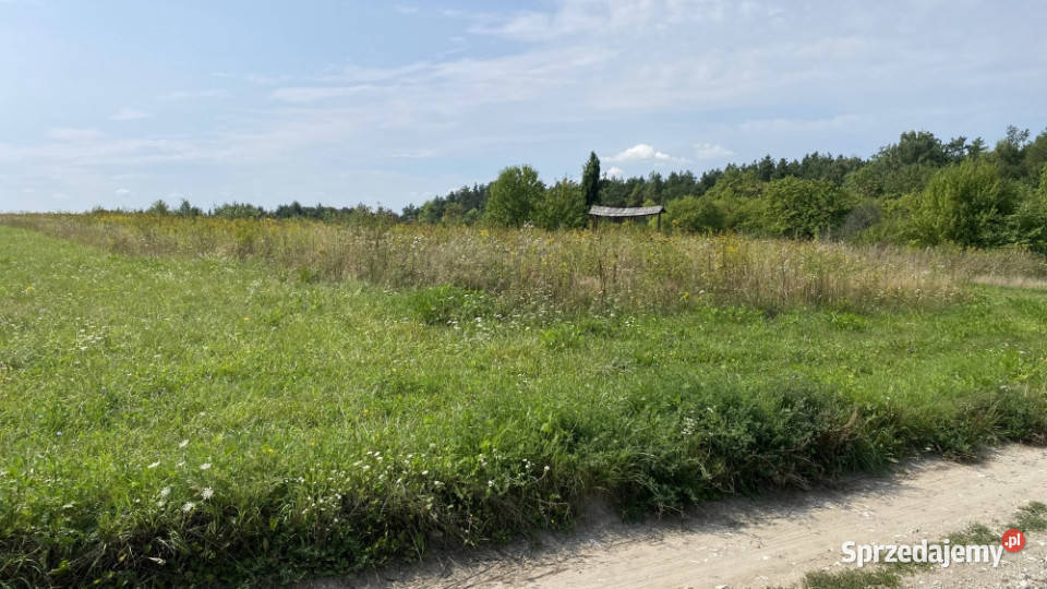 Piękna Działka na Wsi Okale k Kazimierz Dolnego