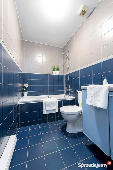 Piękny segment z ogrodem ogródek Nieruchomości Józefosław