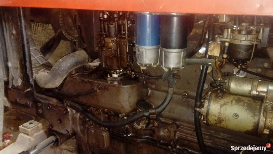 Massey ferguson 3630 Wielgomłyny