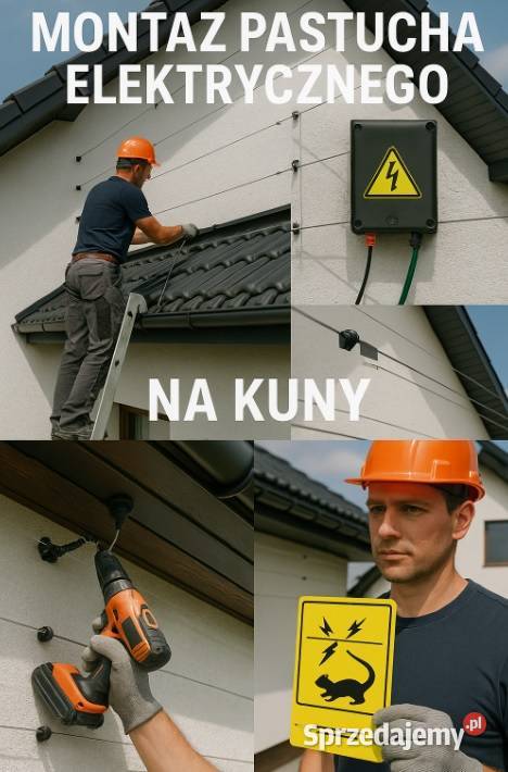 Ile kosztuje pastuch elektryczny na kuny z