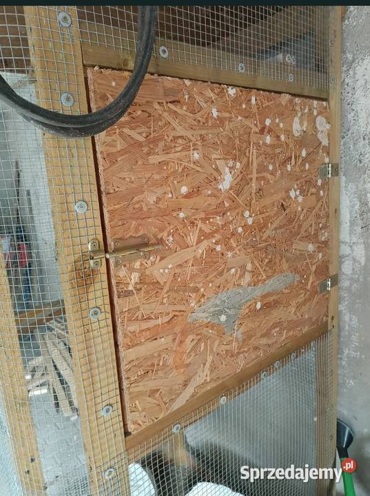 Klatka do ptaków Kłecko sprzedam