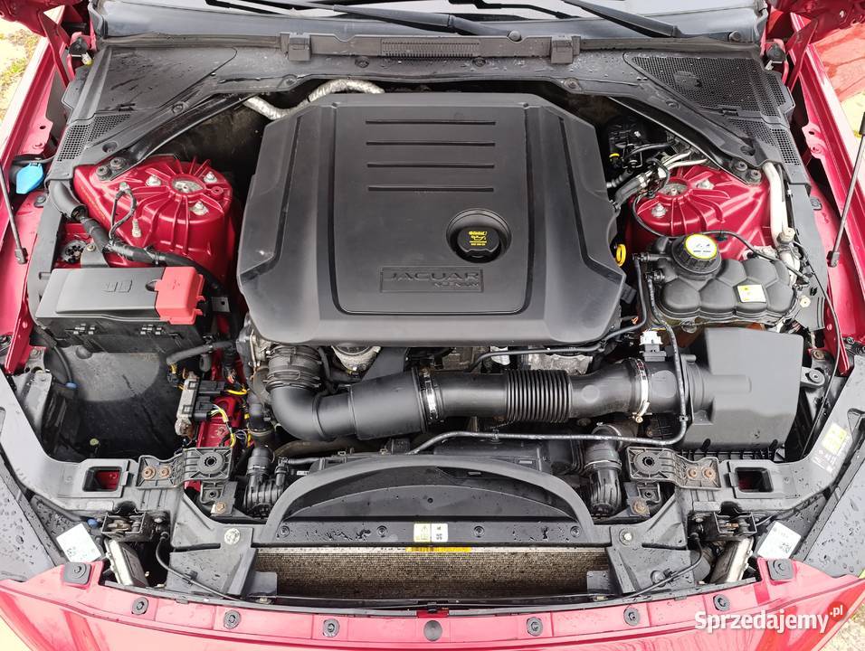 Sprzedam JaguarXER Malbork
