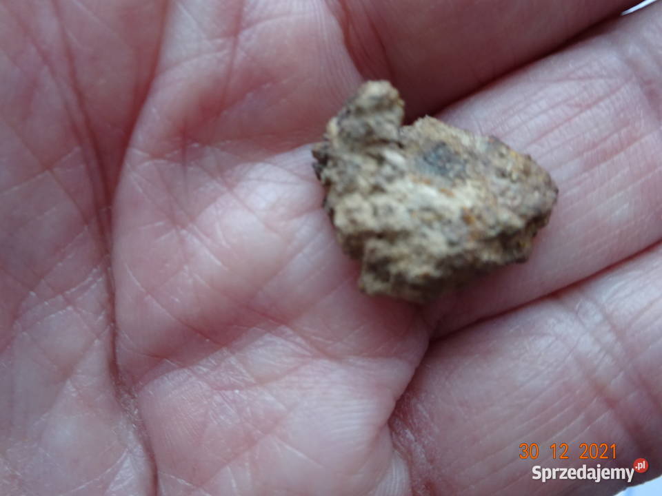 45 meteoryt Jiddat al Harasis 091 chondryt L6