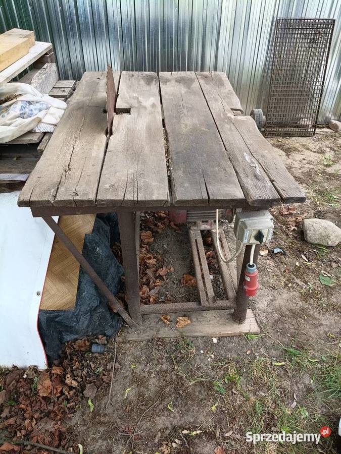 Krajzega do drzewa Domanice-Kolonia