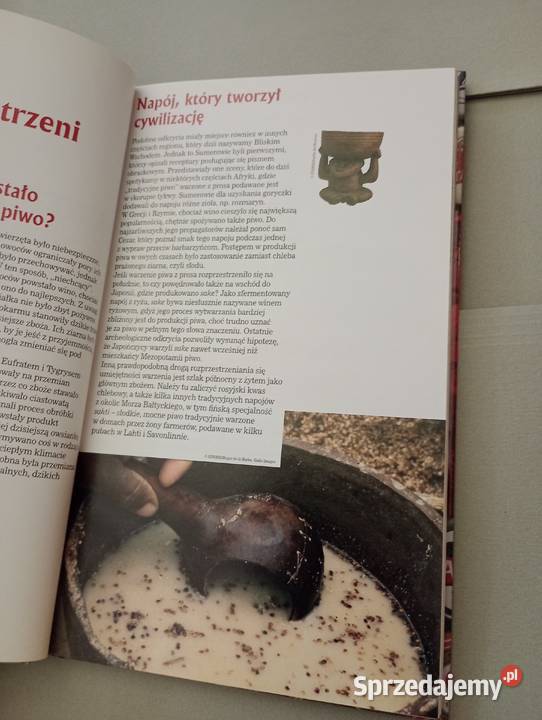 Tyskie vademecum piwa Warszawa 2007 Rok wydania 2007 Pozostałe śląskie Katowice