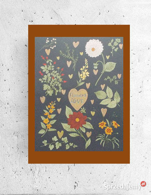 botaniczny obrazek A4 rośliny plakat vintage Bydgoszcz
