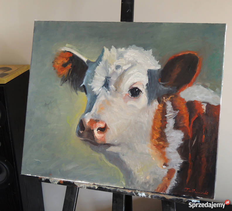 Obraz olejny krowa portret cielaka cykl łódzkie Łódź
