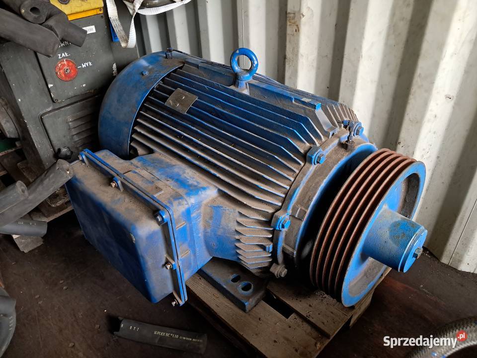 Silnik elektryczny 110kw