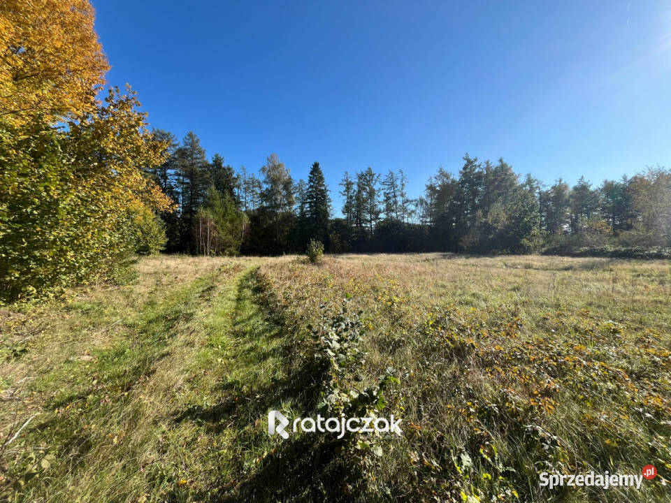 sprzedaży działki Zbychowo 8733m2 pomorskie sprzedam