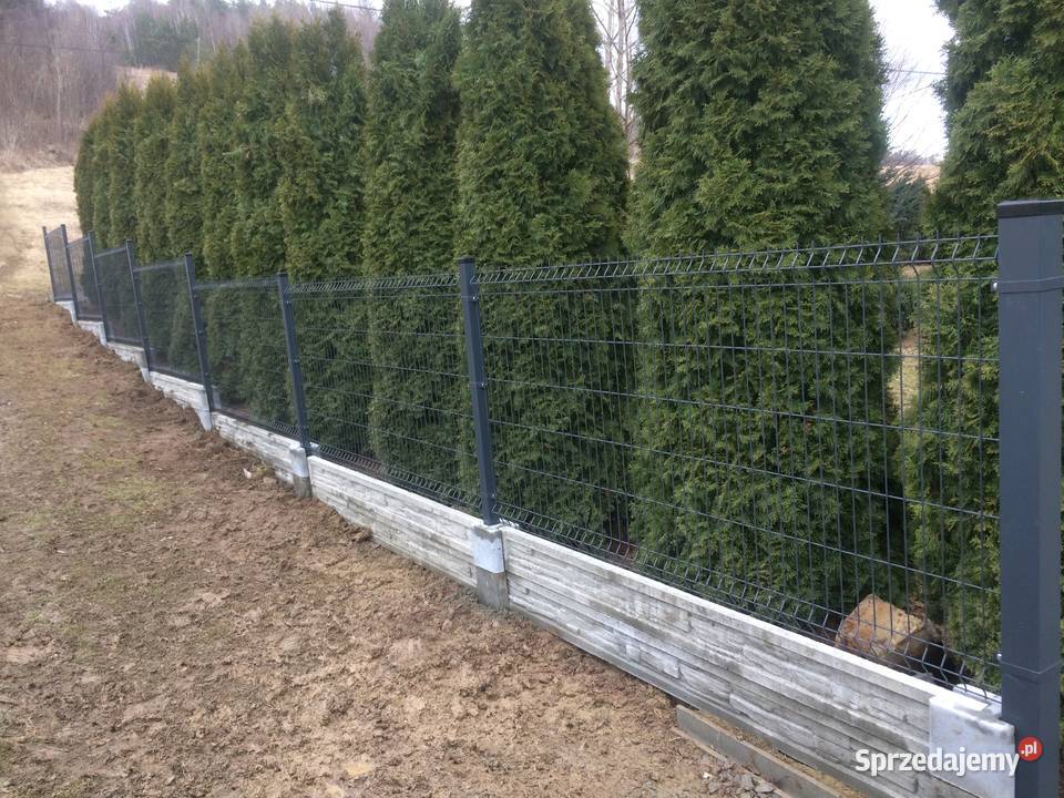 OGRODZENIA PANELOWE SPRZEDAŻ MONTAŻ BRAMY FURTKI Jasło