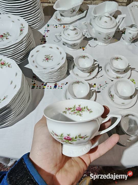 Rosenthal Maria Moosrose duży zestaw porcelany Sandomierz