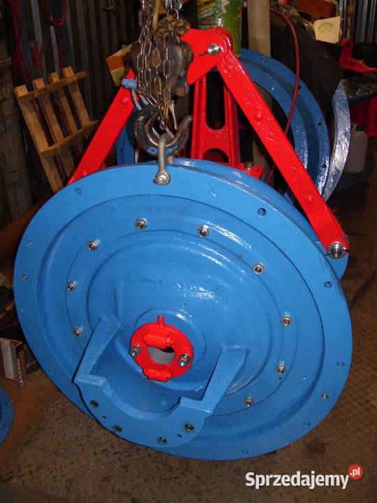 Turbina wodna Francis 450mm elektrownia wodna Wyrzysk