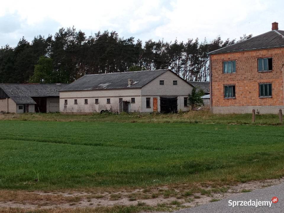 Gospodarstwo rolne na sprzedaz Wygnanka