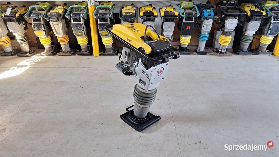 Skoczek Stopa Wibracyjna WACKER NEUSON BS 600 Rok produkcji 2020 Trzebnica