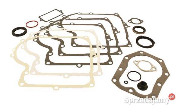 Zestaw uszczelniający 494241 Kamionna