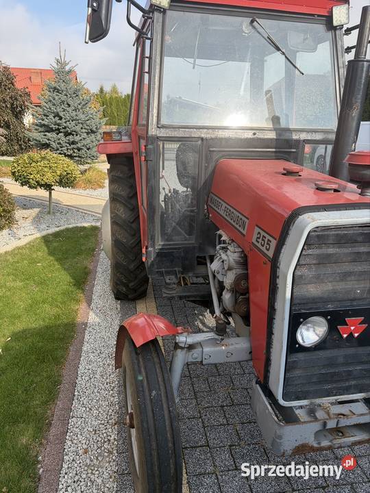 Sprzedam MF 255 Ursus 3512 Napęd 2x4 Ursus Osiek Mały sprzedam