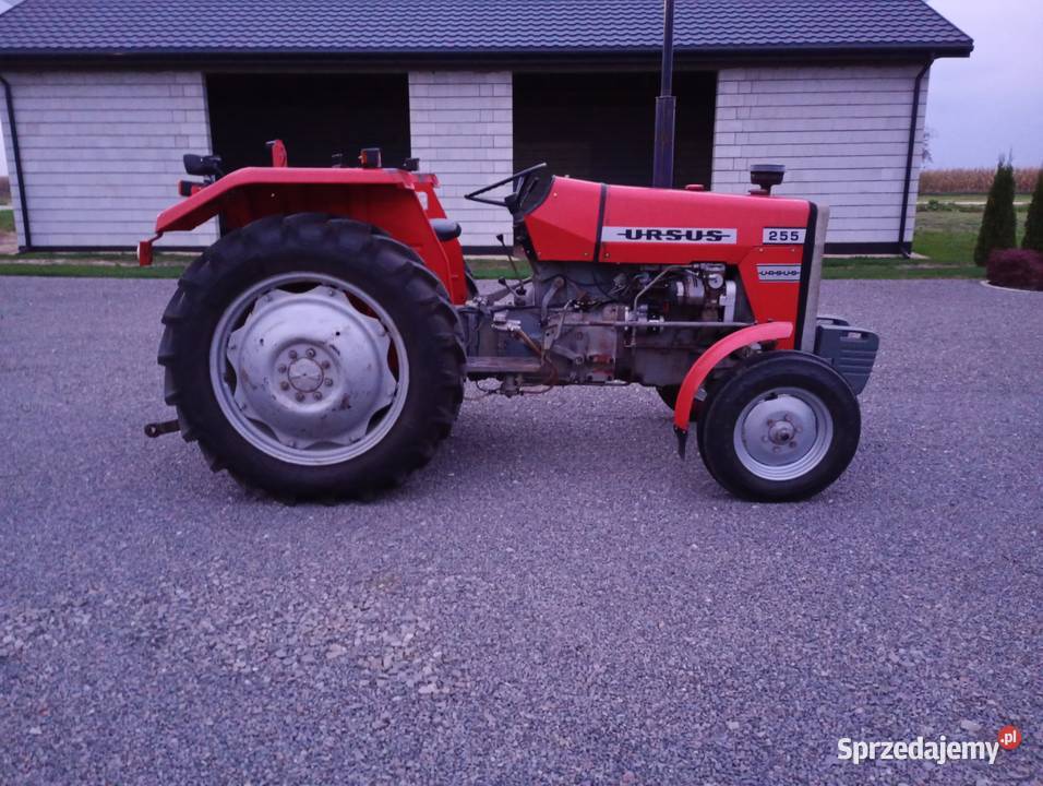 Massey Ferguson MF 255 Ursus Massey Ferguson Łęczna