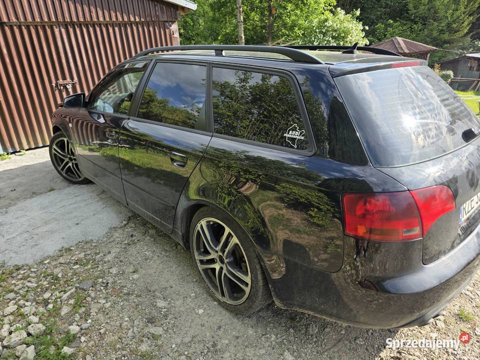 Audi a4 b7 19 tdi Borek Stary