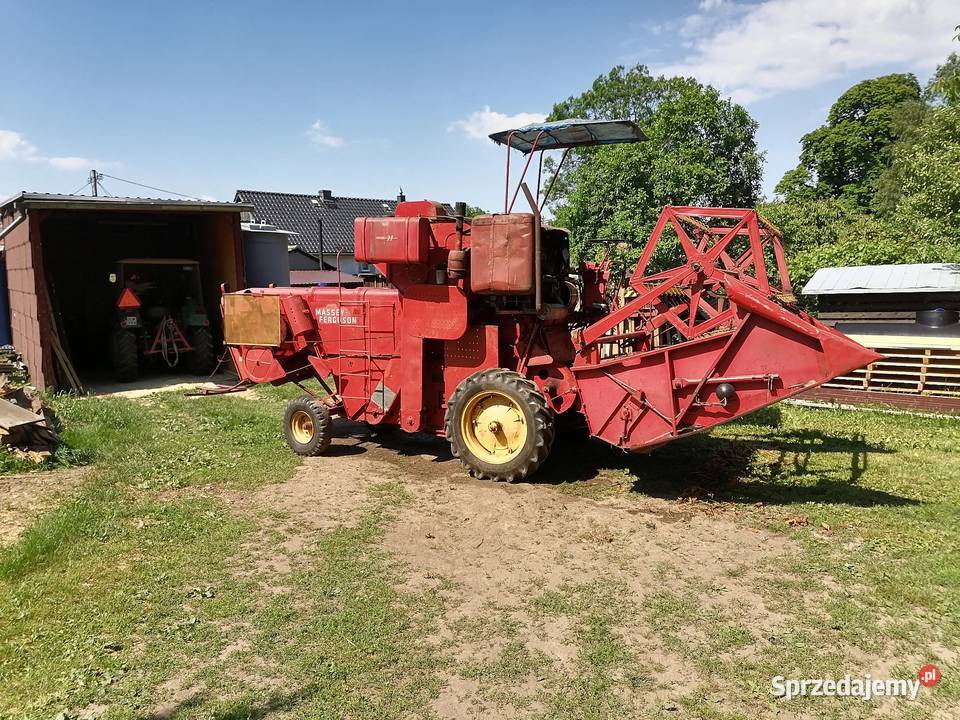 Kombajn Massey ferguson m 31 nieuszkodzony Maszyny rolnicze Niwnice sprzedam