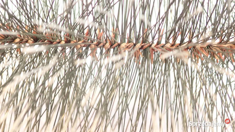 Sztuczna choina baty 20 gałązki na stroiki z Pozostałe Siewierz