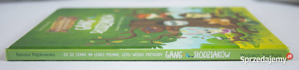 Gang Słodziaków Co się stanie na leśnej polanie pomorskie Gdańsk