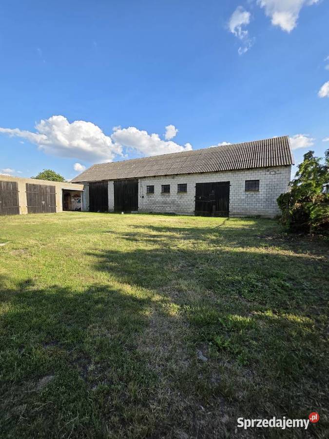 Siedlisko 4 ha z domem i zabudowaniami 4 mieszkalny kujawsko-pomorskie