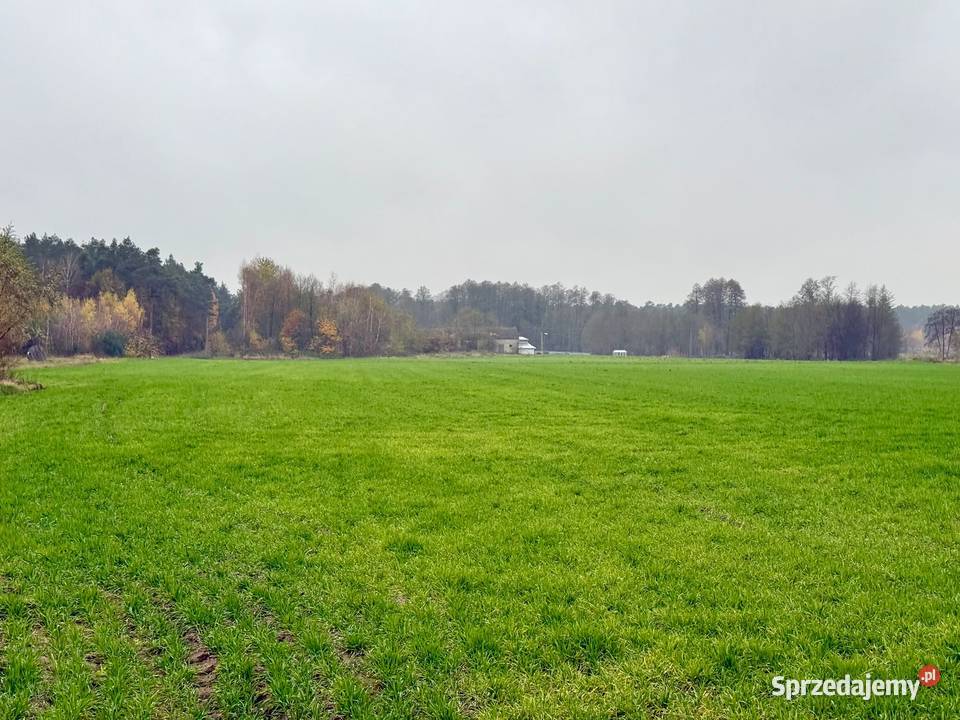 Wacławów gm Lądek działka inwestycyjna 17100m2