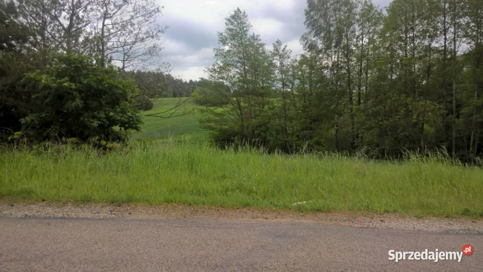 Mazury Stare Juchy działki 3000m2 w okolicach