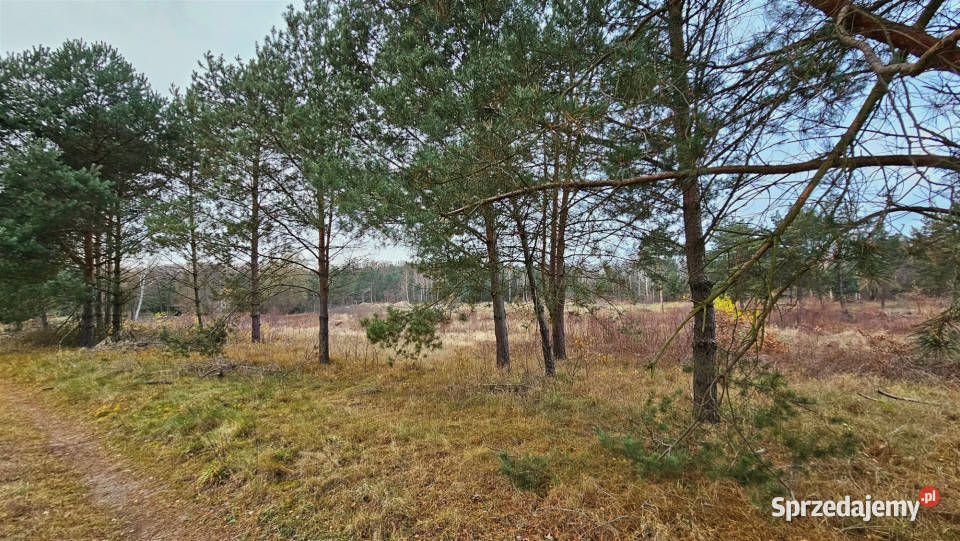 Grunt na sprzedaż 1338m2 Sieradz