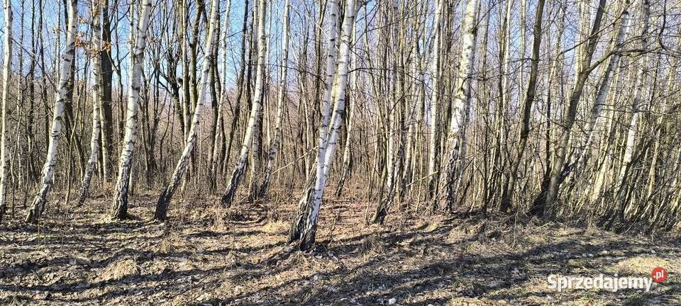 Działka rekreacyjnaw zaciszu 41arów Błażowa